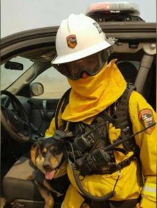 Dog leaps into fireman's arms