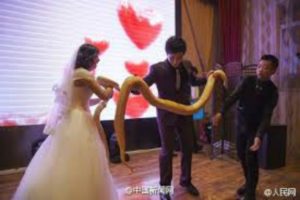 pythons-for-bride-and-groom-2