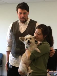 Missing dog found and reunited with owner