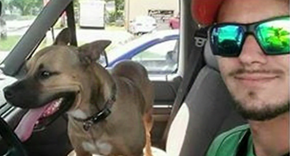 Family searches for dog given away after crash