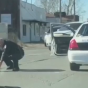 Officer rescues little dog from busy intersection