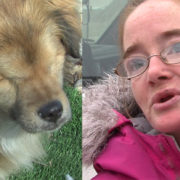 Woman pleads guilty to charges for abuse of dog