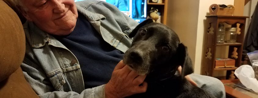 Homeless dog adopted after out of the blue email
