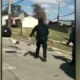 Video shows officers tasering a runaway dog