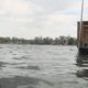 Body of dog found in plastic container in lake
