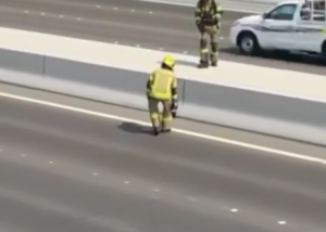 Traffic halted to rescue tiny kitten