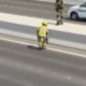 Traffic halted to rescue tiny kitten