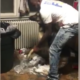 Video of man punishing dogs