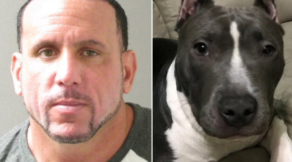 Suspect in attack on Veteran - Cohen and missing dog Mala