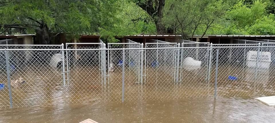 dire situation in flooded texas