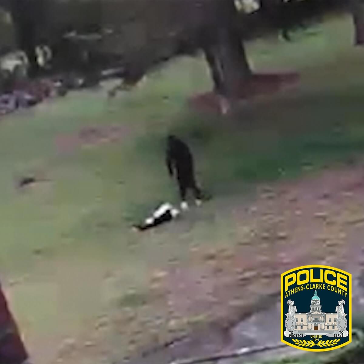 Police searching for man caught on video beating and kicking a dog