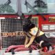 Firefighter's stolen dog