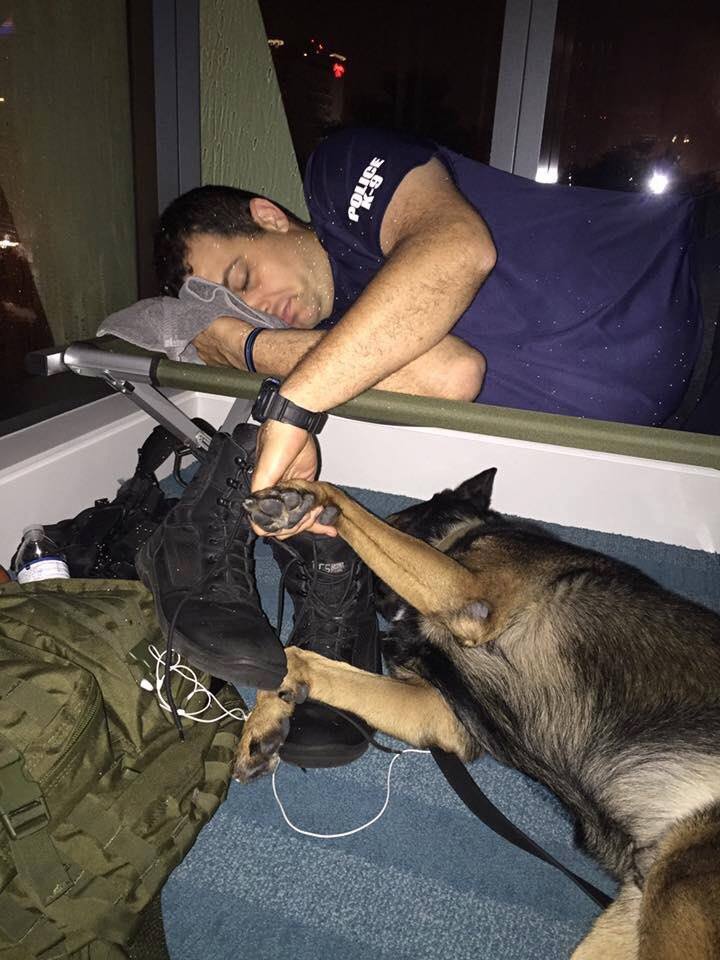 Touching photo Tweeted by police department
