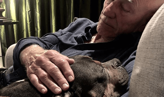 Patrick Stewart says goodbye to foster dog