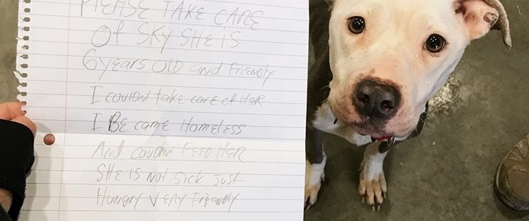 Abandoned dog found with note from former owner