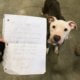 Abandoned dog found with note from former owner