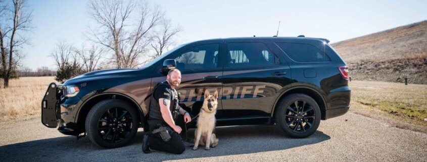 Abused and abandoned dog is now a police K9