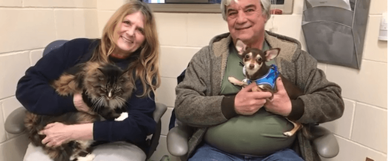 Bonded cat and dog adopted together