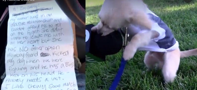 New life for puppy abandoned with note in airport
