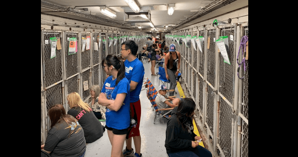 Community showed up to comfort shelter dogs