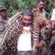 Dentist accused of illegally hunting jaguar