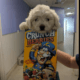 Dog dropped off in a cereal box