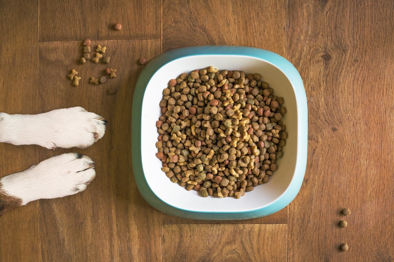 Dog food recall due to discovery of potentially deadly mold