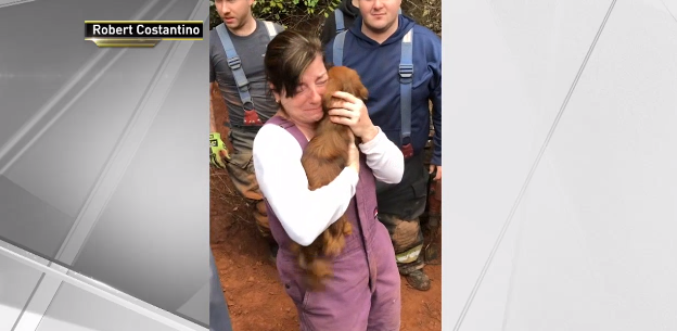Dog rescued from pipe