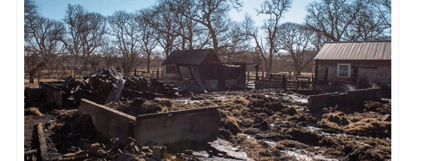 Dozens of animals died in fire