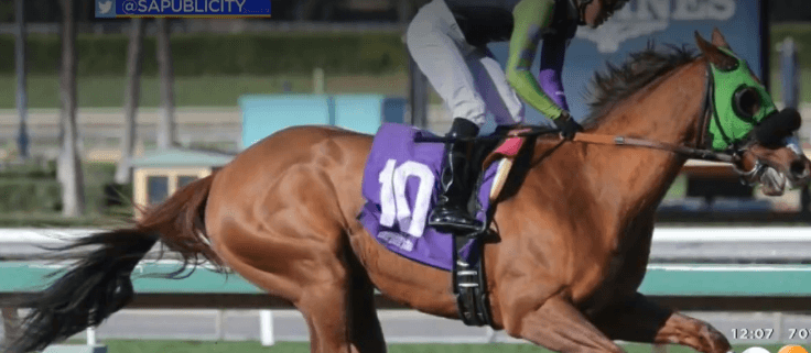 Another horse died at California track