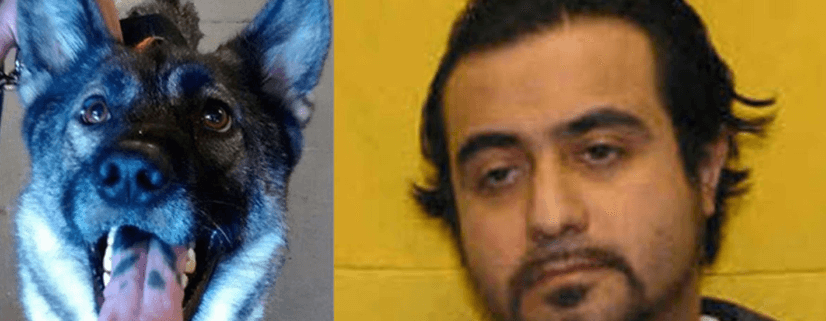 Inmate indicted in dog's death