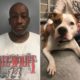 Man accused of choking and throwing dog to the ground