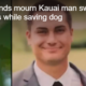 Man drowned trying to save dog from flooded stream