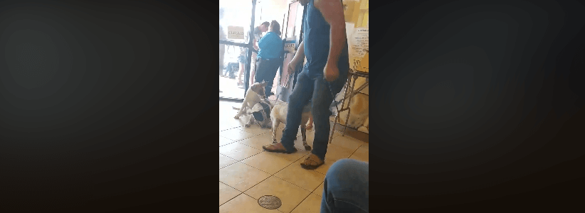 Man drags dogs into shelter to be surrendered