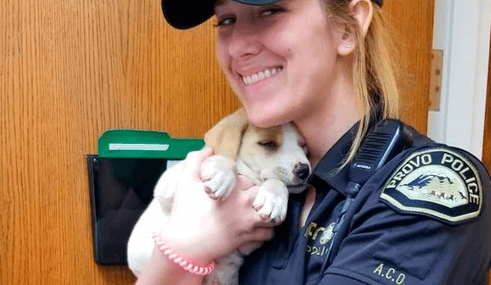 Man and puppy rescued from dumpster that was picked up by garbage truck