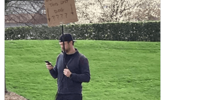 Man stood on corner with sign to reunited lost dog with her owner