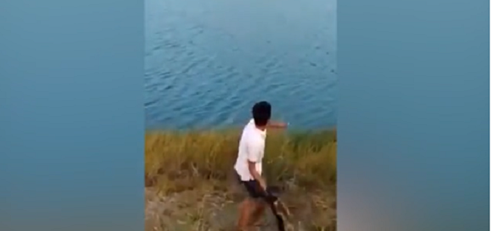 Man threw puppy into crocodile infested water