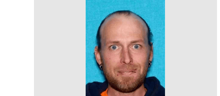 Man wanted for abandoning dogs