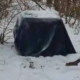 No charges after dog found frozen in the woods