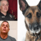 Officer accused of dog sex abuse