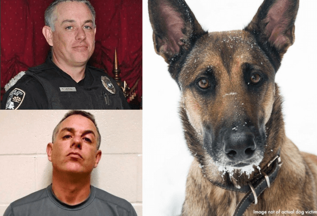 Officer accused of dog sex abuse