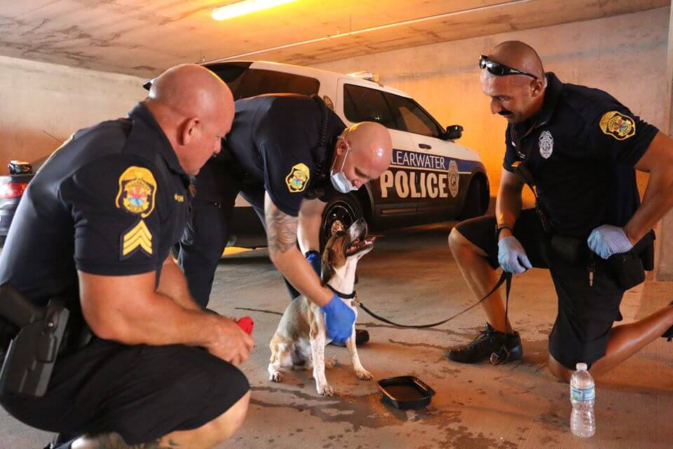 Officers rescued dog from hot car