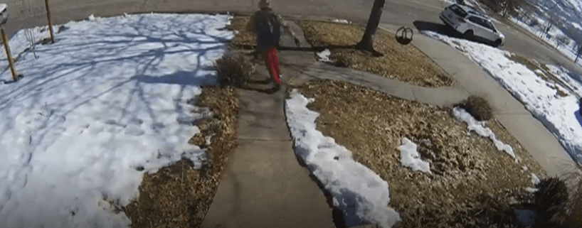 Dog chased after porch pirate