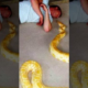 man killed by pet snake