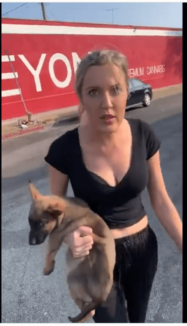 Woman hurled puppy to the ground