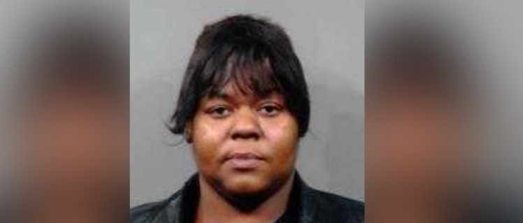 Woman accused of being dog to death with tire iron